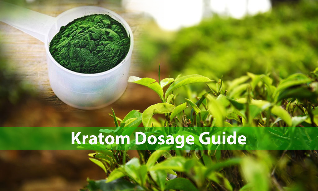 kratom dosage-kratom powder-different kratom forms