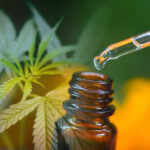 CBD Oil