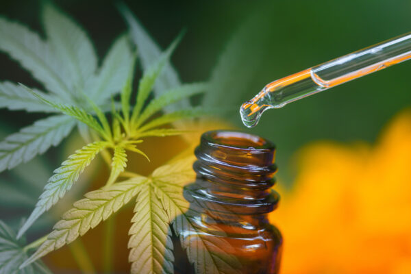 CBD Oil